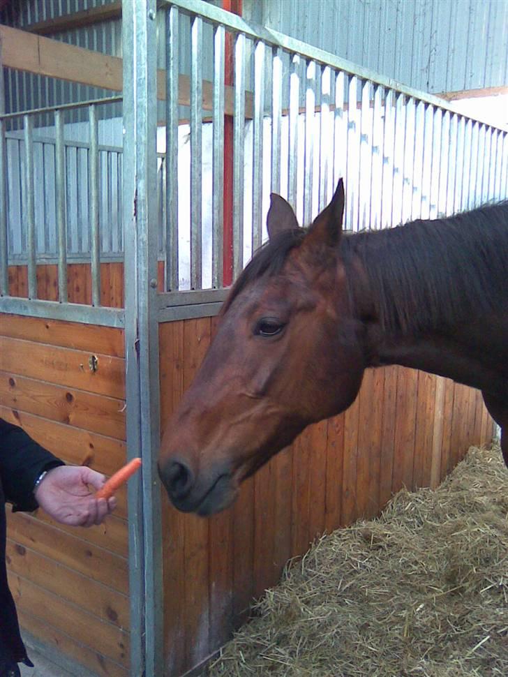 Traver Unna *Aflivet* :'( billede 3