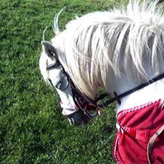 Anden særlig race donna<3