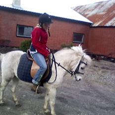 Anden særlig race donna<3