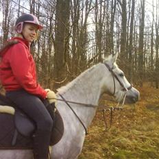 Anden særlig race Moonjam 