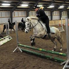Anden særlig race Cloe :'( Min engel! R.I.P