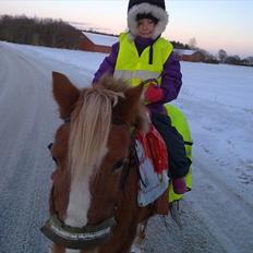 Anden særlig race Blis *Sov godt min pige*
