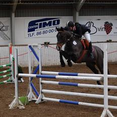 Anden særlig race Liberty