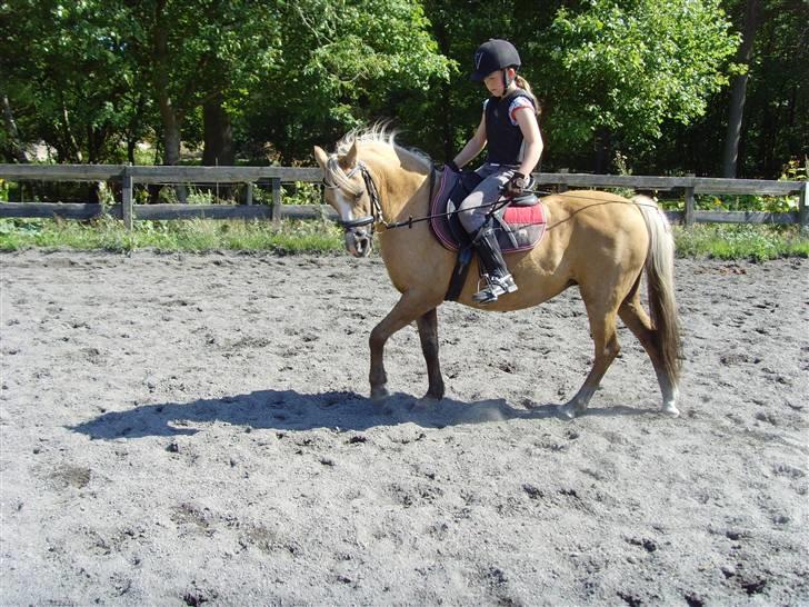 Palomino Ronja <3 aflivet :( - 4. træning den 16/8 du var lidt stædig efter du har været på sommer græs :)  billede 4