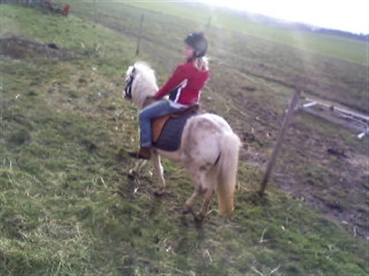 Anden særlig race donna<3 billede 2