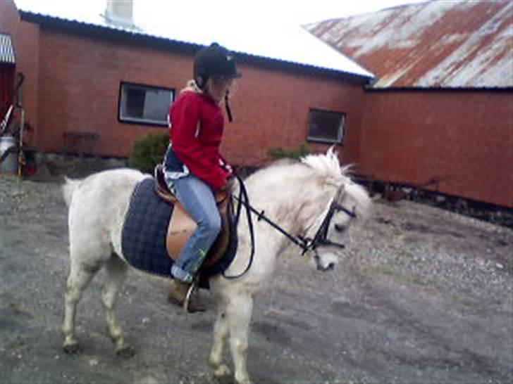 Anden særlig race donna<3 billede 3