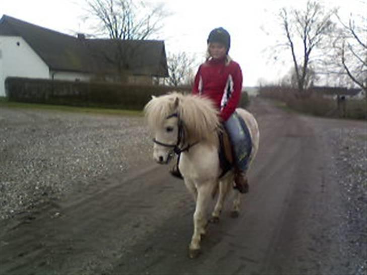 Anden særlig race donna<3 billede 4