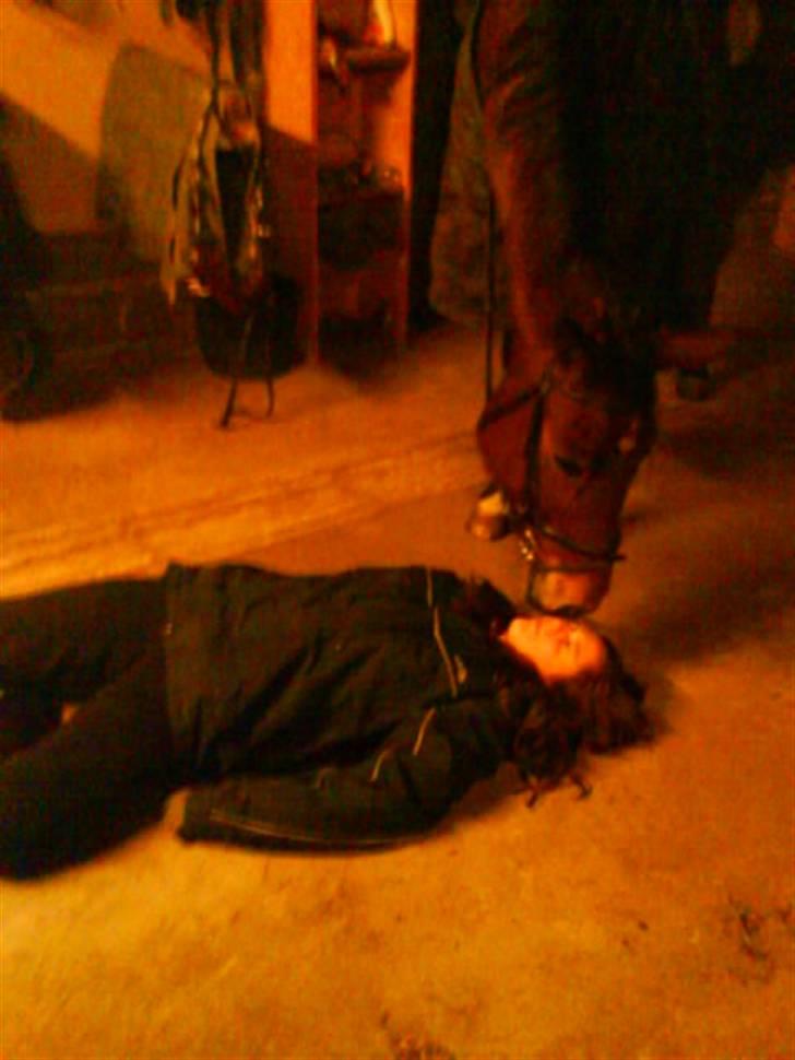 Traver Hera Waltz (SOLGT) - er der noget galt mette billede 6