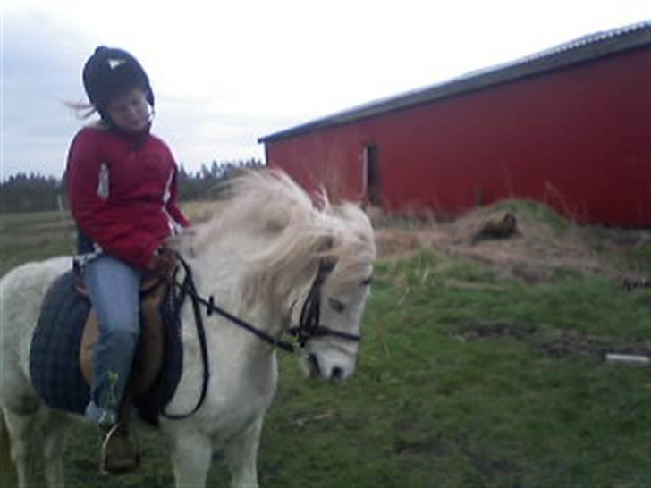 Anden særlig race donna<3 billede 6