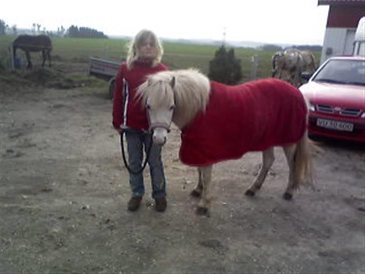 Anden særlig race donna<3 billede 8