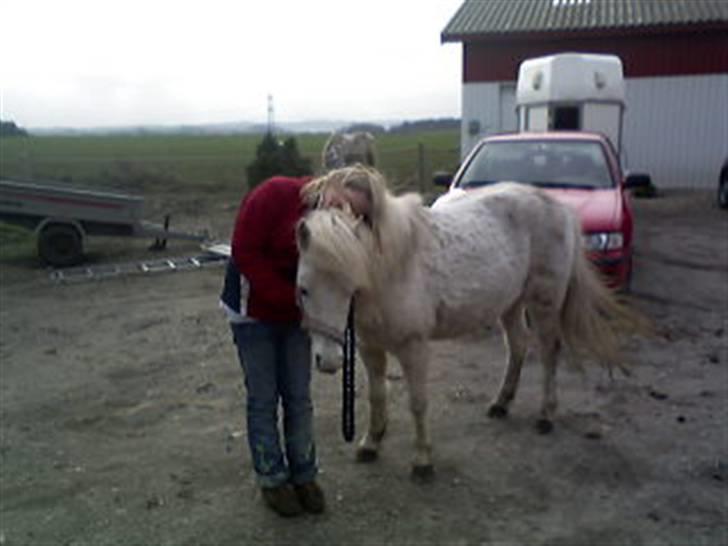 Anden særlig race donna<3 billede 9