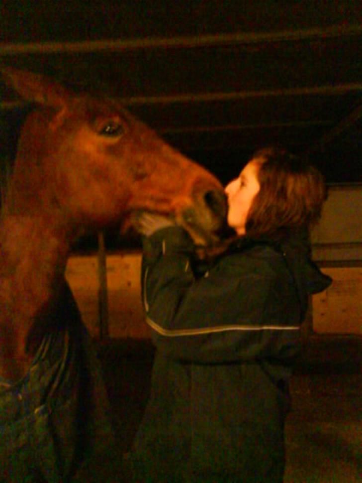 Traver Hera Waltz (SOLGT) - kyskyskys blev der råbt haha billede 7