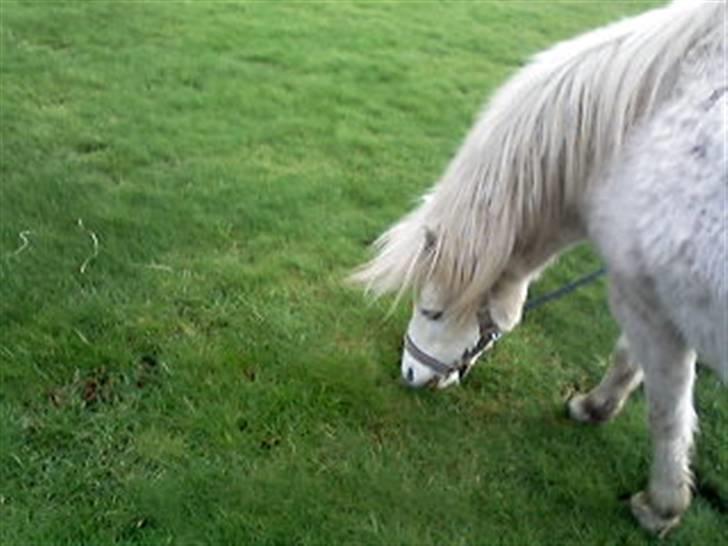 Anden særlig race donna<3 billede 10