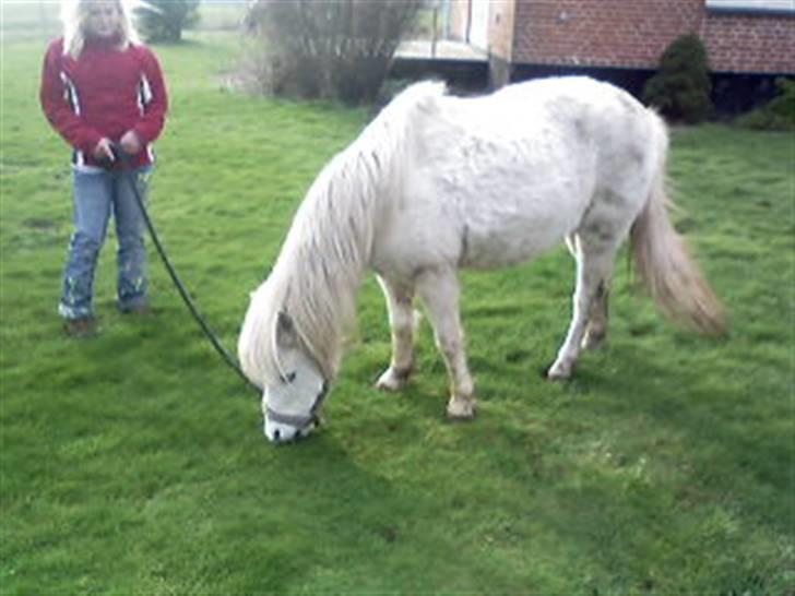 Anden særlig race donna<3 billede 11