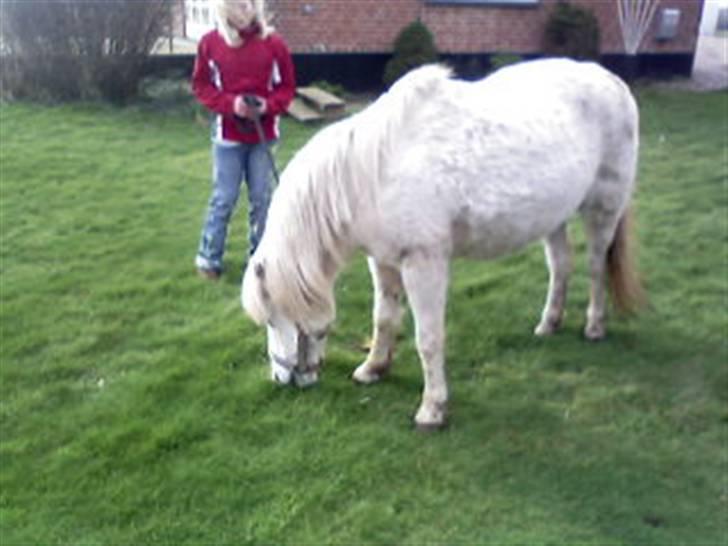 Anden særlig race donna<3 billede 12