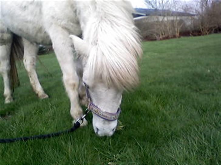 Anden særlig race donna<3 billede 13