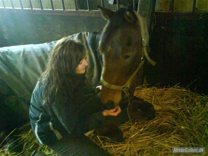 Anden særlig race Bruno, savner dig :'( <3 - Bruno <3 savner dig så ufattelig meget :´( billede 1