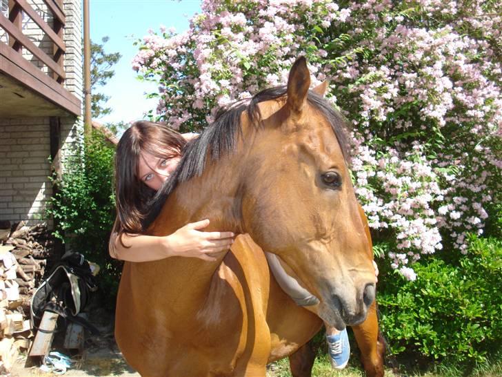 Anden særlig race Bruno, savner dig :'( <3 - Savner dig så ufattelig meget, det var en af de bedste tider mig dig :´( billede 4