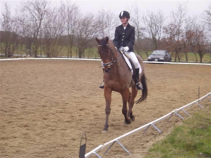 Anden særlig race Bruno, savner dig :'( <3 - Savner dig så ufattelig meget :´( billede 6