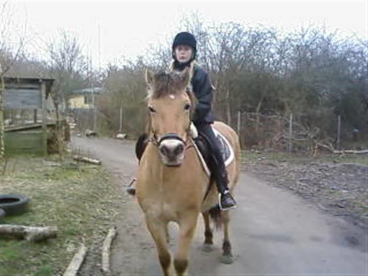 Anden særlig race Tyson <3 Miss ya' <3 - Smukke ! <3 billede 16