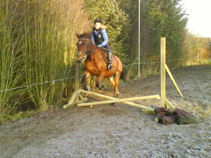 Traver Hera Waltz (SOLGT) - charlotte springer billede 11