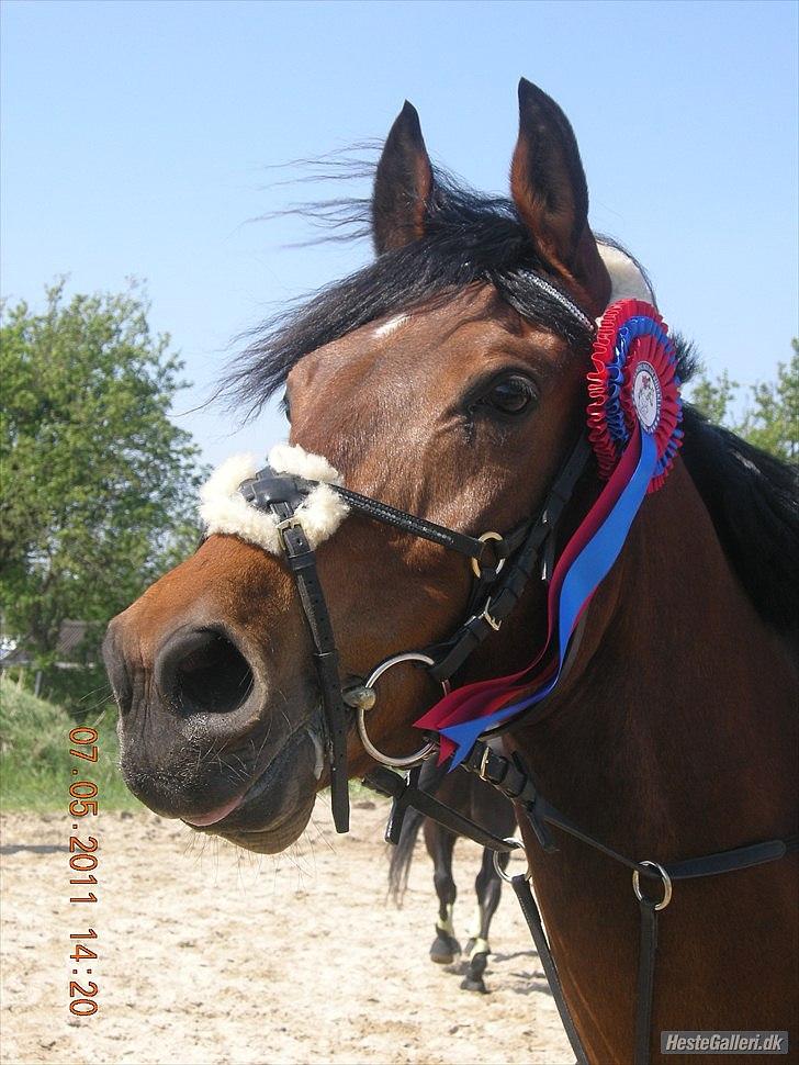 Anden særlig race Frederik Eliselund.<3 - Velkommen til Frederik´s Profil :)<,3 billede 1