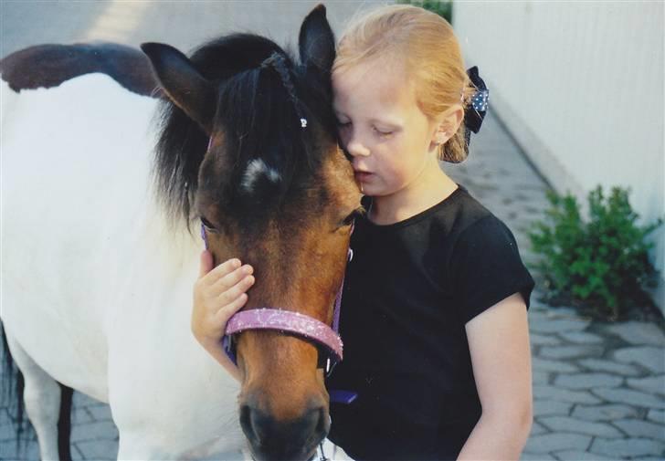 Pinto Tilde - Camilla og Tilde billede 1