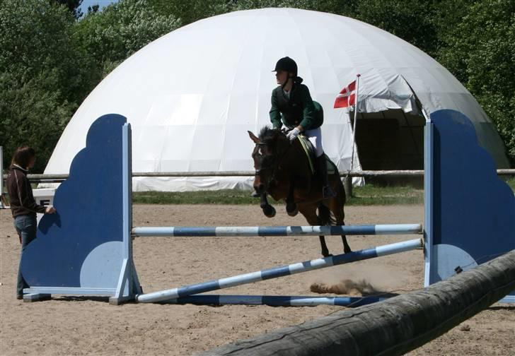 New Forest Silas Surprice - Spriing Silas ;D Du er bare min skat <33 billede 17