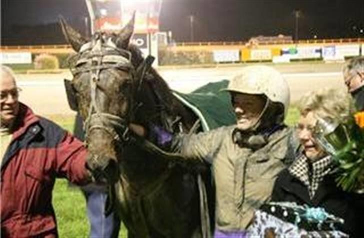 Traver David Nordal -Familiehest billede 6