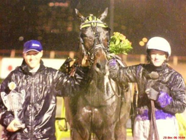 Traver David Nordal -Familiehest billede 9