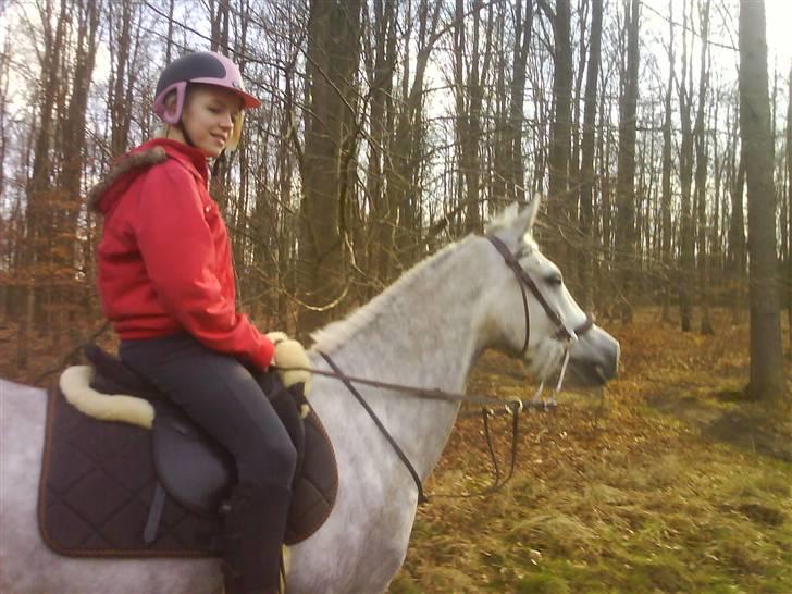 Anden særlig race Moonjam  billede 1