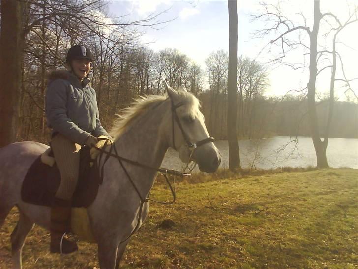 Anden særlig race Moonjam  billede 2