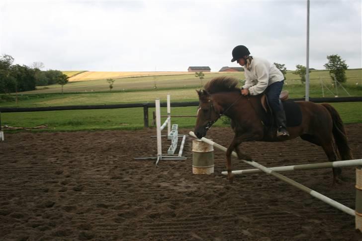 New Forest Sunset - Spring opvarming <3 foto: miig billede 4