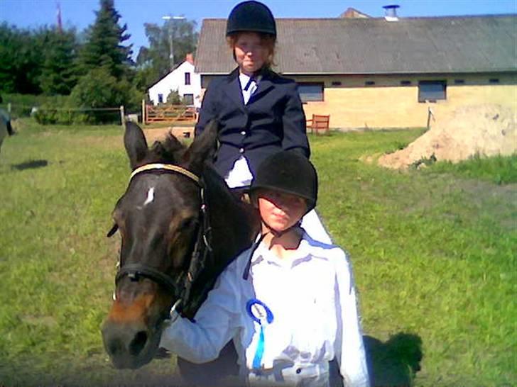 Anden særlig race Mirka Belinda R.I.P billede 14