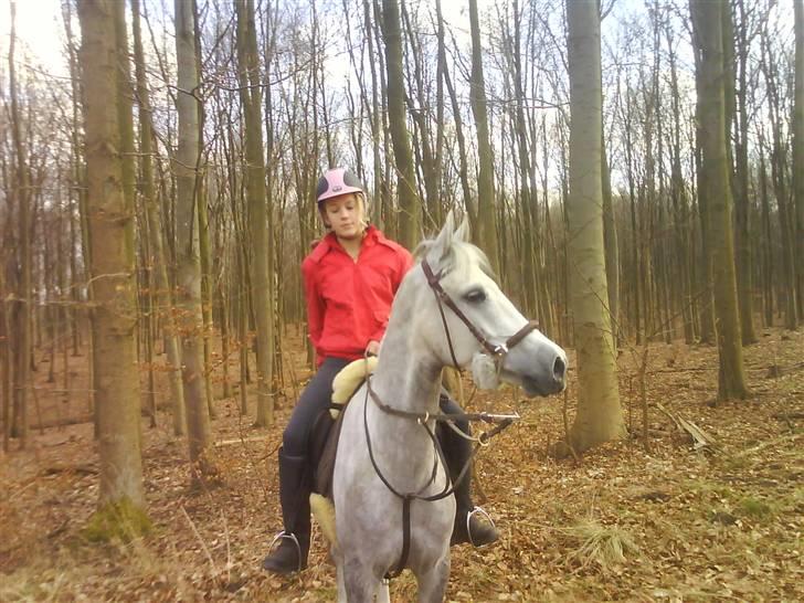 Anden særlig race Moonjam  billede 13