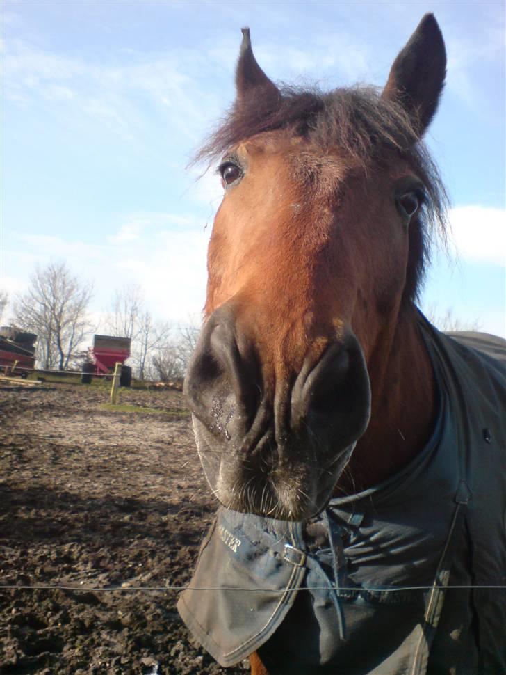 Oldenborg Extreme Innocence - Uhm... Mon kameraet smager godt? billede 5