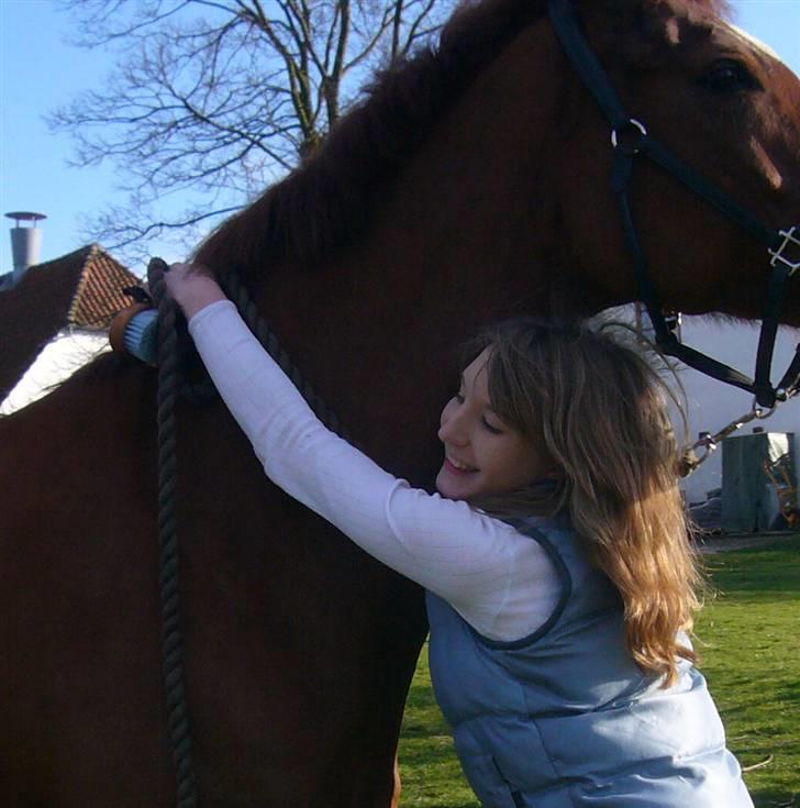 Dansk Varmblod Lavega #Aflivet#  - Jeg elsker dig Lavega!!! d.16.03.2008. Fotograf; Regitze    billede 3