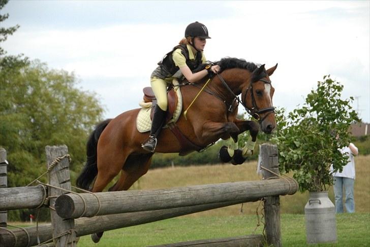 Anden særlig race Cilas Regal A-pony - fjelsted 09 3 plads i første 80´er super god tur! :) 2009 tror jeg :) billede 2