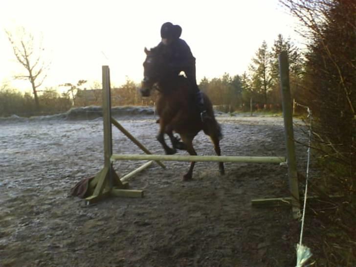 Traver Hera Waltz (SOLGT) - gammelt springbillede billede 12