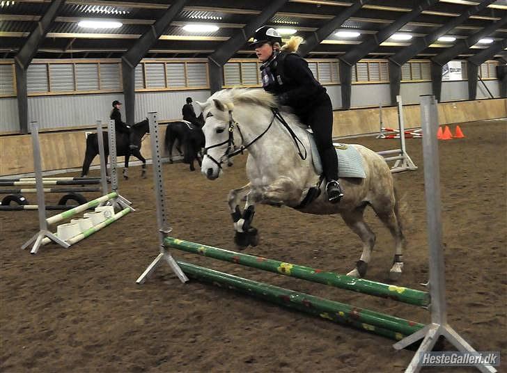 Anden særlig race Cloe :'( Min engel! R.I.P - Med dig var jeg hel! :´( billede 2