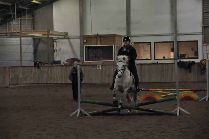 Anden særlig race Cloe :'( Min engel! R.I.P - Med dig var spring let som en leg! :i billede 4