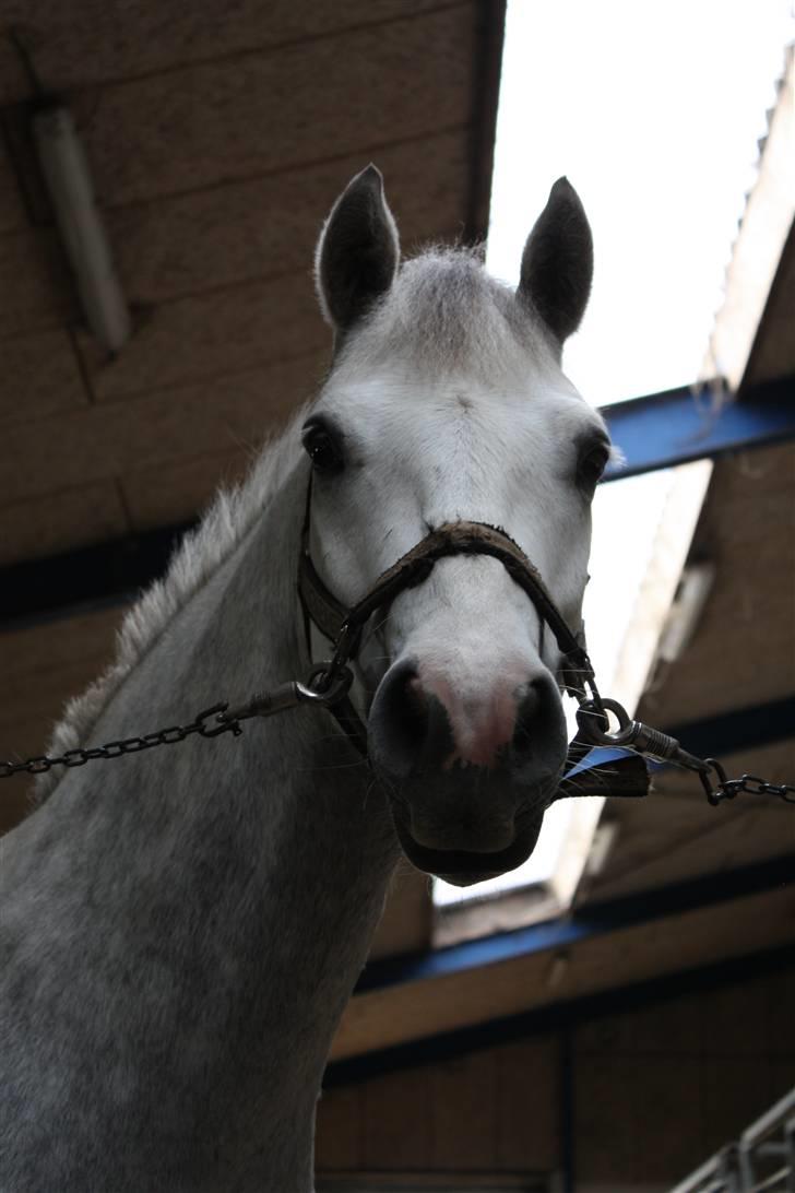 Connemara Banks Miro billede 2