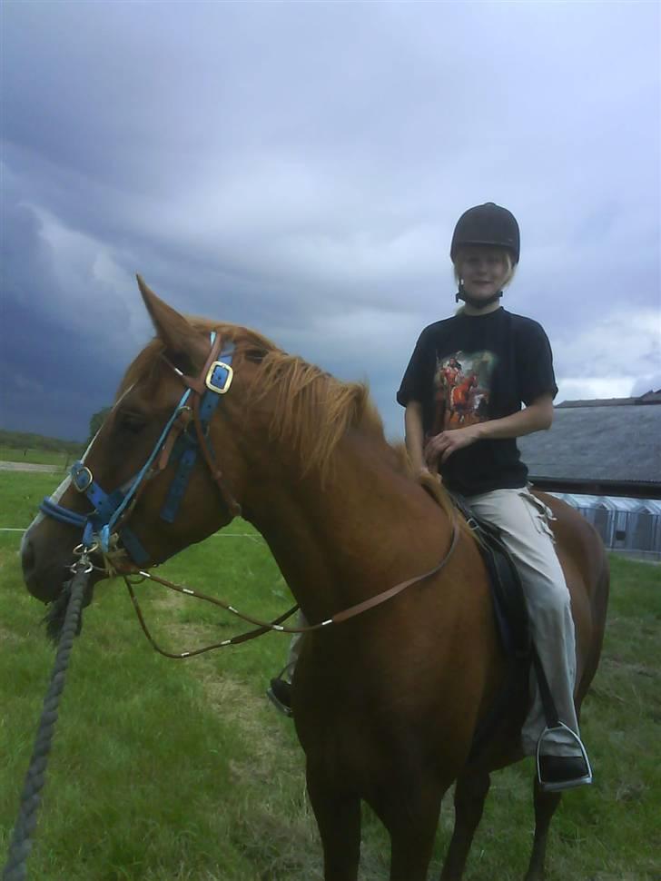 Anden særlig race Stald Amour´s Shana - 1 gang på ryggen. uden nogen sjove ideer. Super dejlig!! billede 8