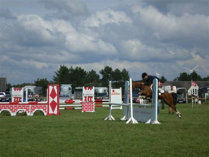 Welsh Pony (sec B) Fokus | B-pony | SOLGT! - Sydjyysk Mesterskab 08 VANDT !!!!   MLH-foto billede 6