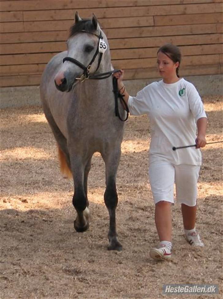 Connemara Banks Miro billede 10