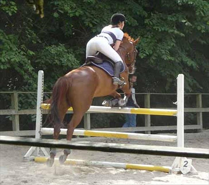 Dansk Varmblod Lavega #Aflivet#  - Lavega og jeg til sløjfespring (110 cm) på DYR. d. 26.06.2009 Fotograf; Laura  billede 15