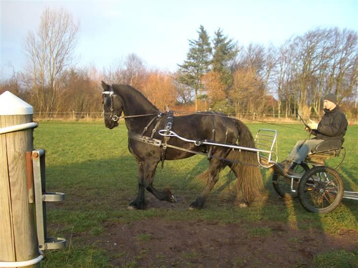 Frieser Gaia Hvalløs - gaia for vogn billede 3