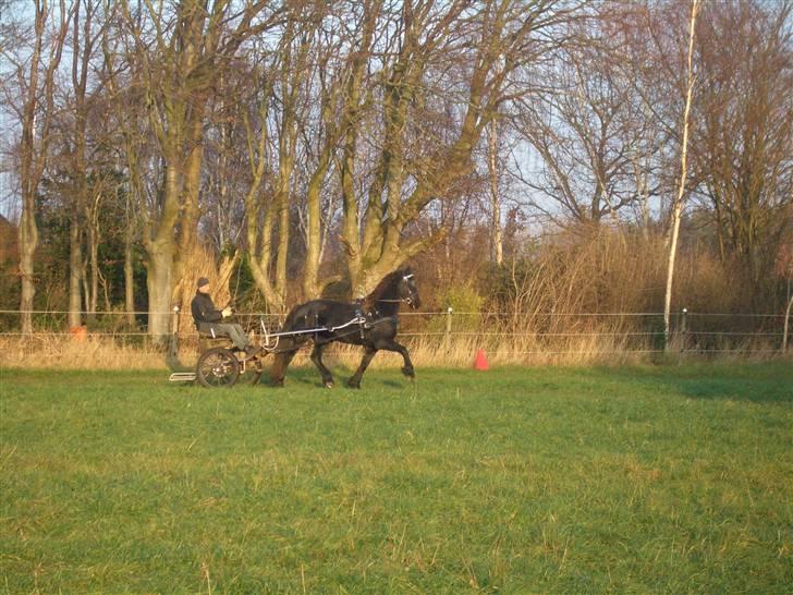 Frieser Gaia Hvalløs - gaia for vogn billede 4