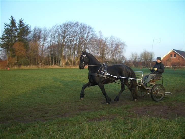 Frieser Gaia Hvalløs - gaia for vogn billede 6