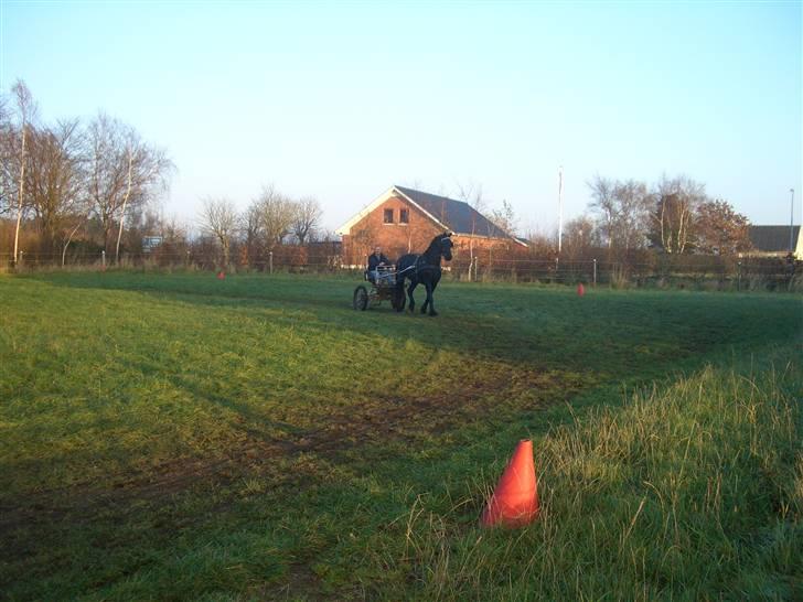 Frieser Gaia Hvalløs billede 7